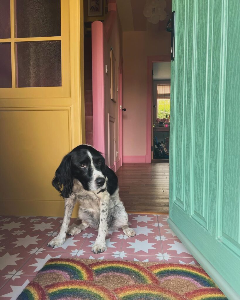 Hamish our pup at the 1930's style front door.